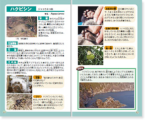 愛媛県 なんよ 哺乳類の痕跡図鑑